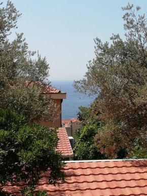 Apartment Petrovac